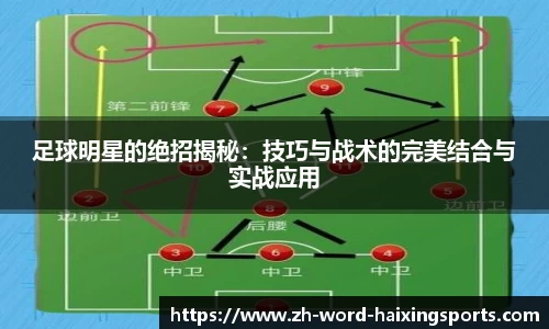 海星体育官方网站