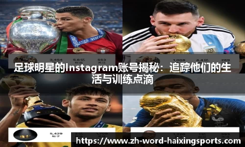 海星体育官方网站