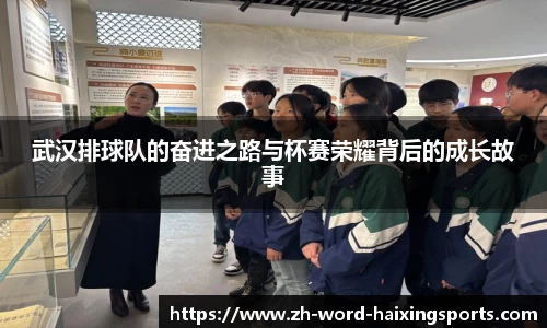 海星体育官方网站